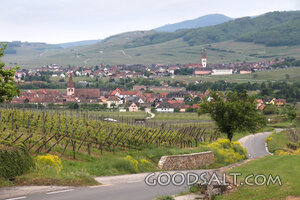 Vineyard Village with Church Steeples