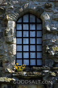 Stone Chapel Window with Wildflowers