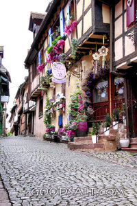 Flowered Lane in an Old European Village