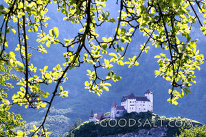 Hilltop Castle Through Spring Branches