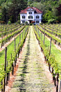 Vineyard Path to the House