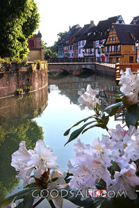 Canal Village in Morning Bloom
