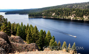 Still Waters Among the Pines