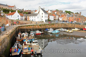 Quiet Harbor Village