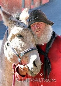 Bearded Traveler with Donkey