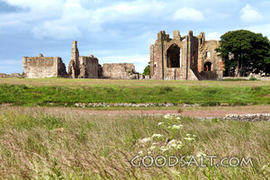Ruined Abbey in the Meadow
