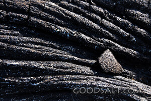 Charred Wood and Ash Texture
