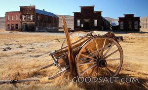 Abandoned Frontier Wagon