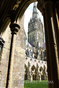Cathedral Spire Through the Cloister