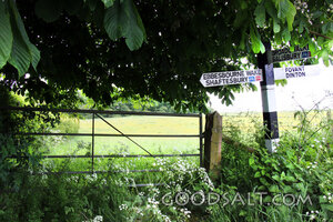 Country Signpost Near Salisbury