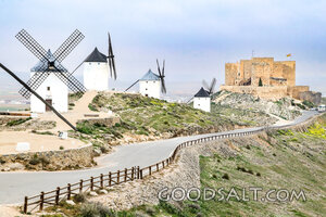 Windmills and Castle of Consuegra