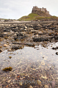 Fortress on Holy Island Shore