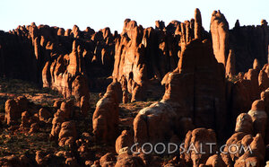 Desert Pillars of Stone