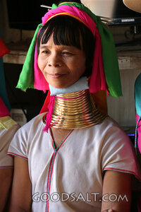 Kayan Woman with Brass Neck Rings