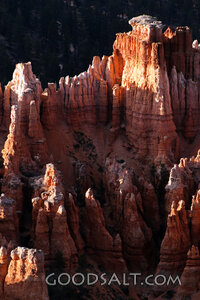 Pillars of the Wilderness
