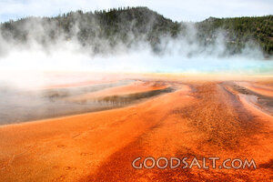 Steaming Springs of Creation