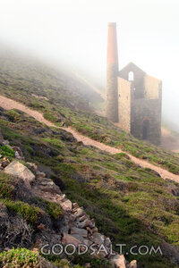 Misty Hillside Ruins