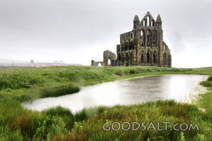 Gothic Abbey Ruin by the Water