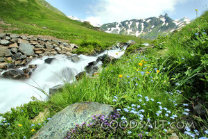 Alpine Stream in God’s Creation