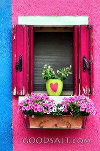 Window Box of Welcome