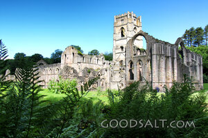 Ruined Abbey in Summer Light