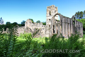 Ruined Gothic Abbey Among Ferns