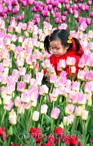 Child Among the Tulips