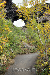 Path Beneath the Stone Arch