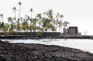 Palm-Lined Hawaiian Shore