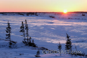Sunrise Over the Winter Wilderness