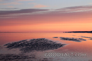 Peace at the Evening Shore