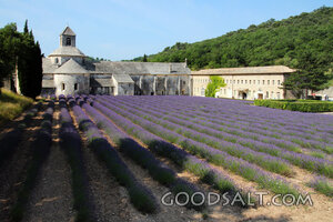 Abbey Among Lavender Fields