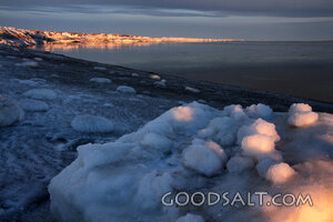 Winter Shore in Evening Light