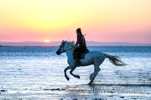 Rider at Sunset Shore