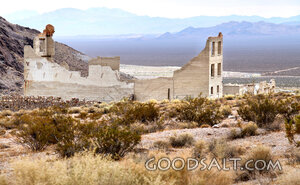 Ruins in the Wilderness
