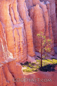 Desert Canyon Refuge