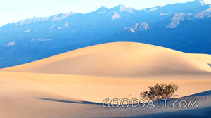 Desert Dunes Beneath Mountain Peaks