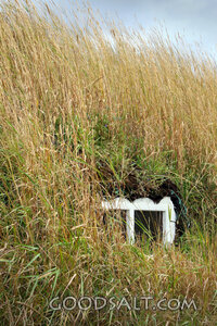 Hidden Doorway in the Grass