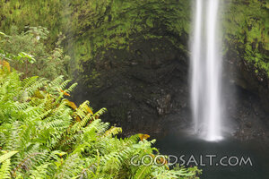 Waterfall in the Green Ravine