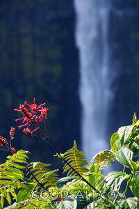 Living Water in the Garden