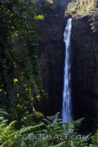 Waterfall in the Hidden Forest