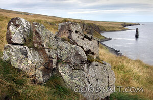 Rocky Coast of Creation