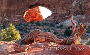 Desert Arch of Creation