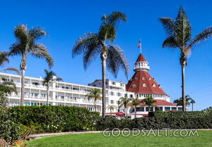 Coastal Resort with Palms
