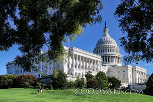 United States Capitol from the Lawn