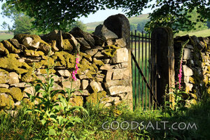 The Narrow Gate in the Stone Wall