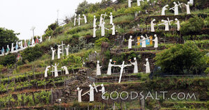 Hillside Stations of the Cross
