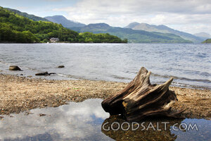 Still Waters and Mountain Shore