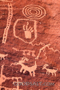 Ancient Flock Petroglyphs