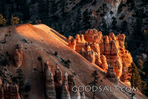 Wilderness Pillars at First Light